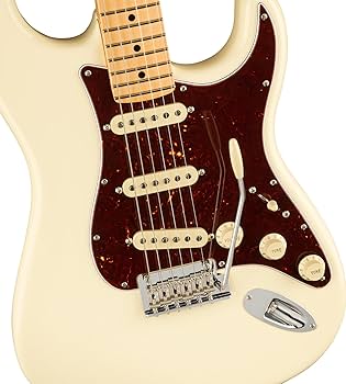 M*i様 Fender USA Professional Ⅱ Stratocas strat-american-ultra-ii-hss-