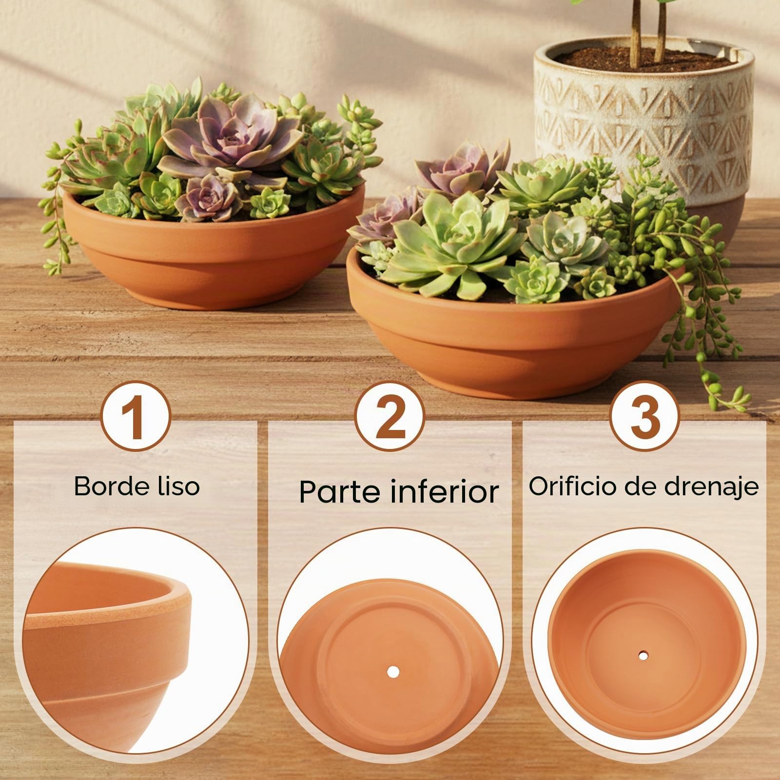 Macetas de Terracota Laergin de 6.43 Pulgadas Poco Profundas de Arcilla de Terracota con Agujero de Drenaje, macetas de cerámica para Interiores y Exteriores (Paquete de 6)