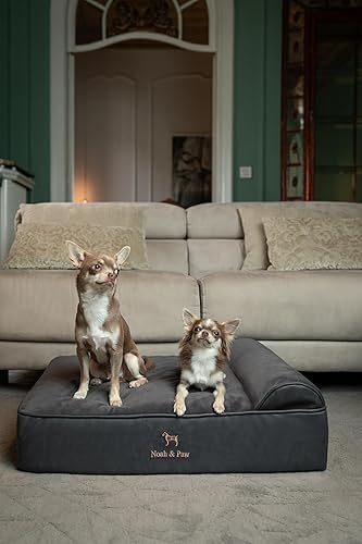 Miniatura 5 de NOAH & PAW Cama para perro, 28 x 23 x 11 pulgadas, camas ortopédicas para perros para mascotas de tamaño mediano, espuma viscoelástica de cáscara de