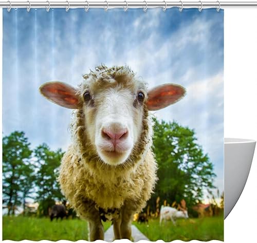 KXO Cortina de ducha de oveja, impermeable, lavable, juego de cortinas de baño de poliéster con ganchos, 72 x 72 pulgadas disponible en Yaxa Guatemala