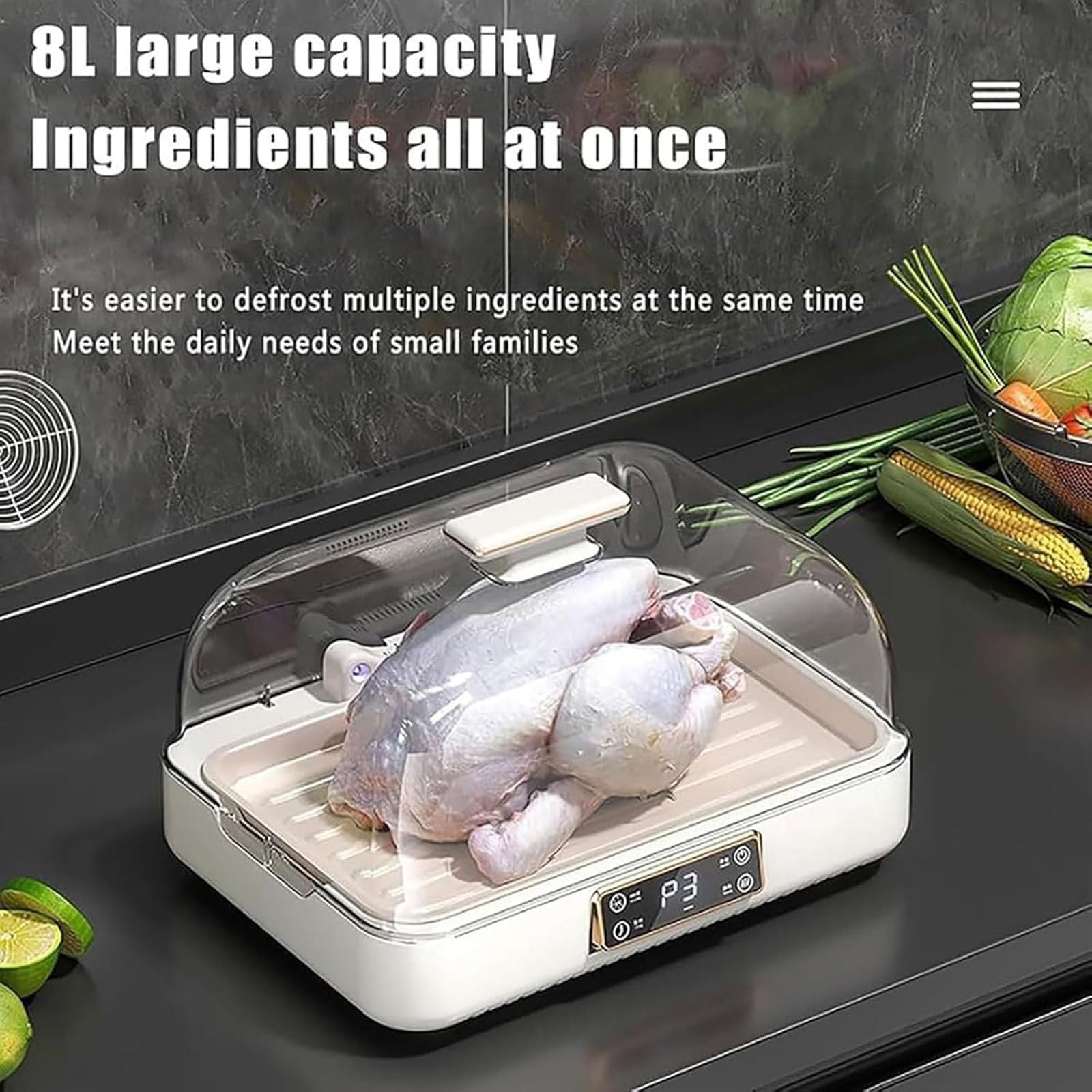 Descongelador eléctrico de alimentos, máquina de descongelación de carne de 8 litros con pantalla LED, ajuste de 3 velocidades, ciclo de calor de 360° para filetes y mariscos