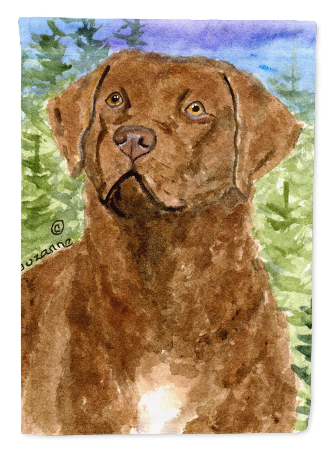 Drapeau de jardin Chesapeake Bay Retriever SS8933GF aux finitions durables et colorées