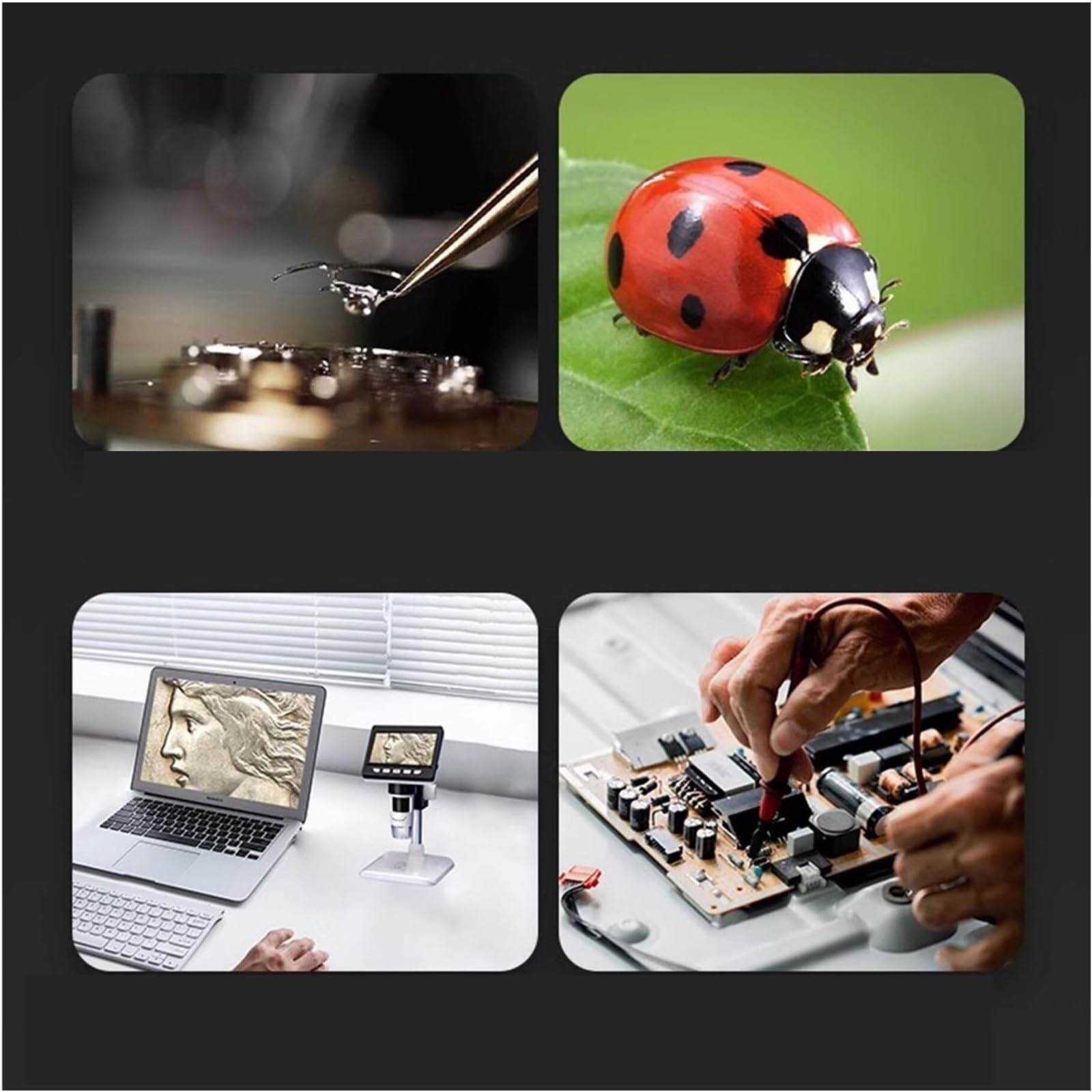 Microscope numérique. Microscopes Numériques Portables, Instruments Scientifiques Électroniques pour Étudiants .Portable