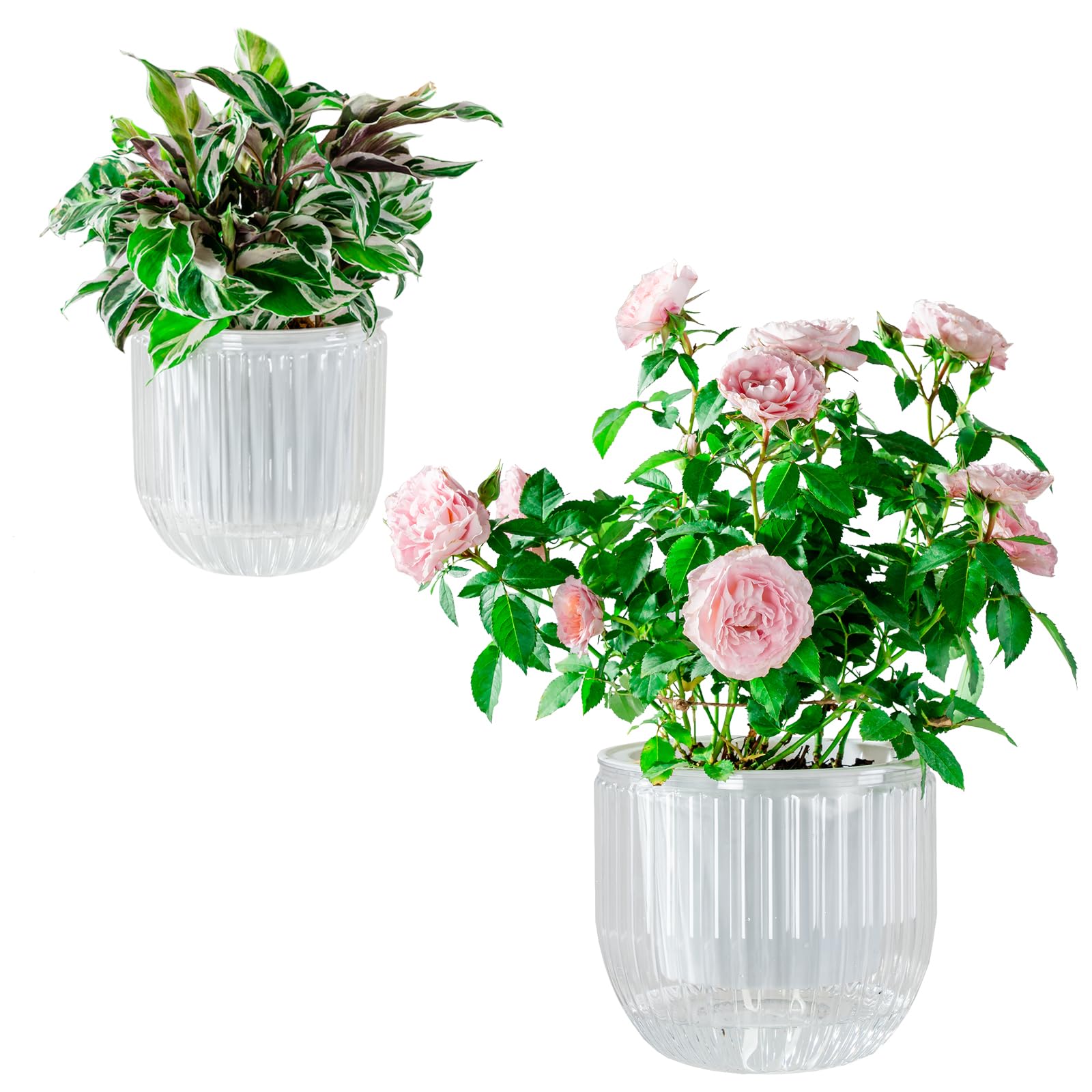 Josteve Vasi per piante autoirriganti per interni, 16,5 cm, confezione da 2 vasi da fiori in plastica per orchidee, piante da giardino, per erbe, piante da appartamento, violette africane, fioriera