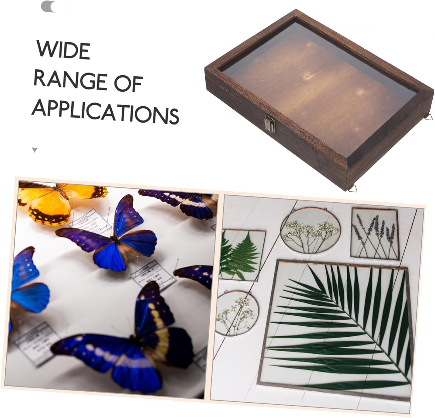 Luxshiny Retro Insect Display Case with Transparent Lid Butterfly Storage Box for Compact and Lightweight Present for Nature Lovers Wall Mountable Design