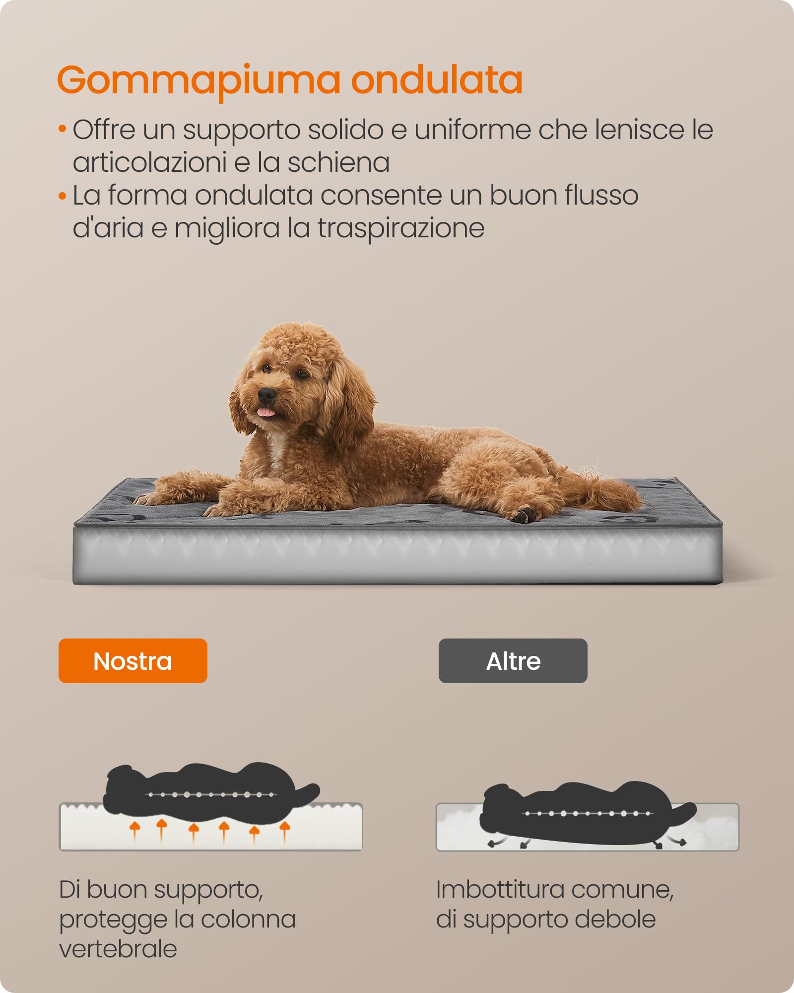 Feandrea Cuccia per Cani, Lettino per Animali, Gommapiuma Preformata Ondulata, con Maniglia, Sfoderabile, Uso a Doppio Lato, Impermeabile, Taglia M, 76 x 51 x 8 cm, Grigio Tortora PGW241G01