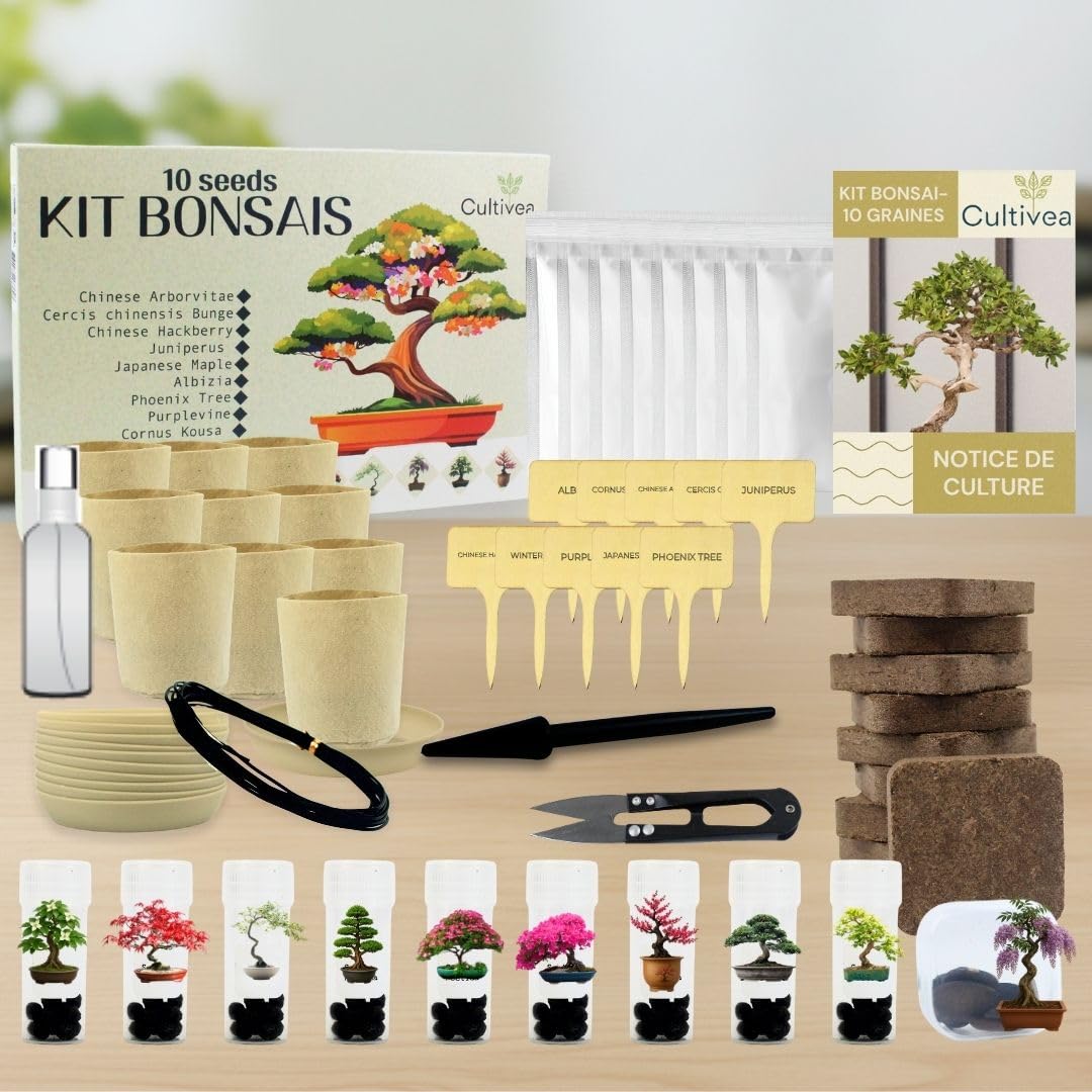 CULTIVEA® Bonsai Anzuchtset – 10 Bäume zum Selbst Anpflanzen – Komplettes Bonsai Starter Kit mit Samen, Töpfen & Werkzeug – Bonsai Anzucht Set für Anfänger – Geschenkidee für Gartenfreunde