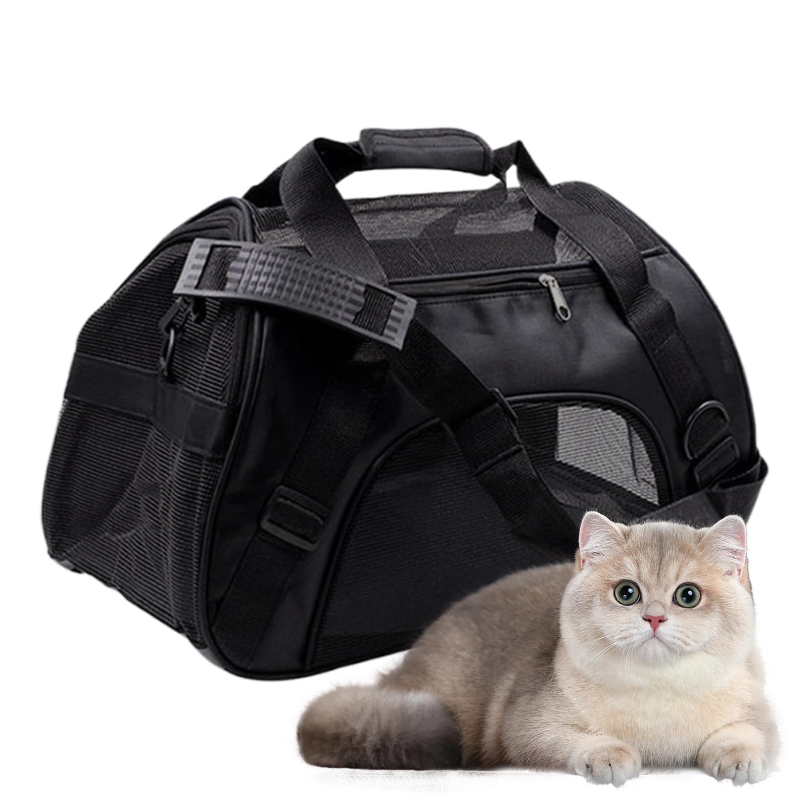 Cage de transport pour animaux de compagnie chat chien sac bandoulière pliable