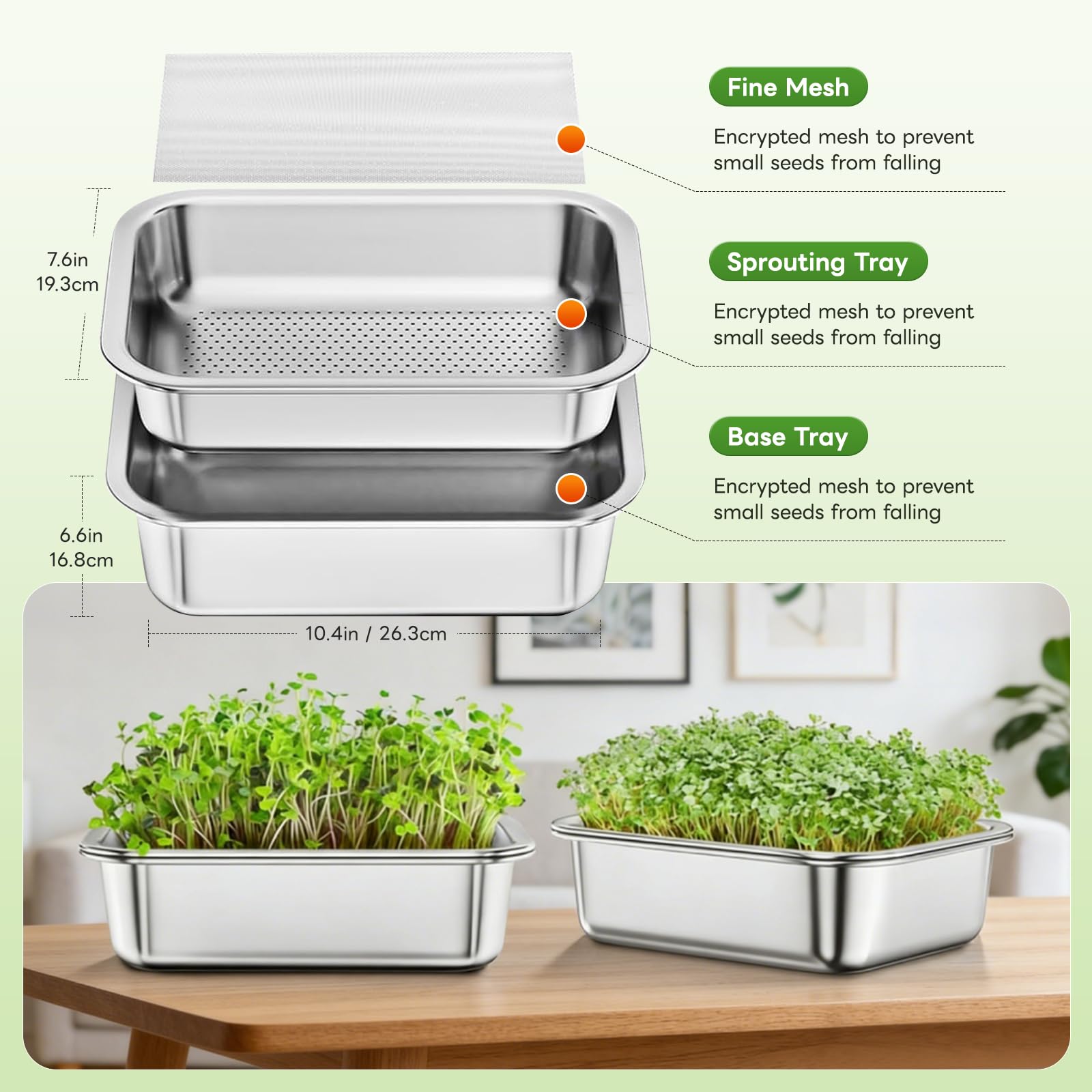 Acero Inoxidable Germinador de Semillas - 26 x 9 cm Bandejas de Germinación Reutilizables - Cultivo Sin Tierra Hierba para Gatos - Semilleros Profesionales para Brotes Hierba para Berro Microgreens