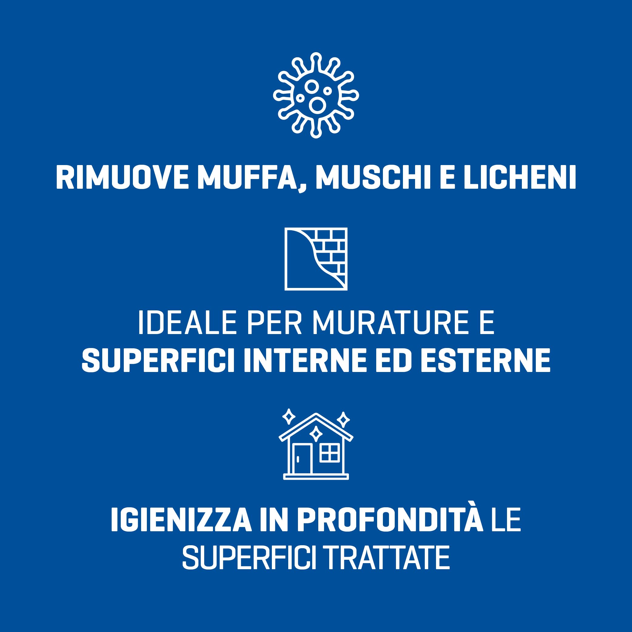 CAMP Trattamento Completo Rimuovi Muffa, 300 ml + Muffa Control Risanante, 1 L - Rimuove rapidamente muffe, muschi e licheni, Risana le superfici, Efficacia Duratura