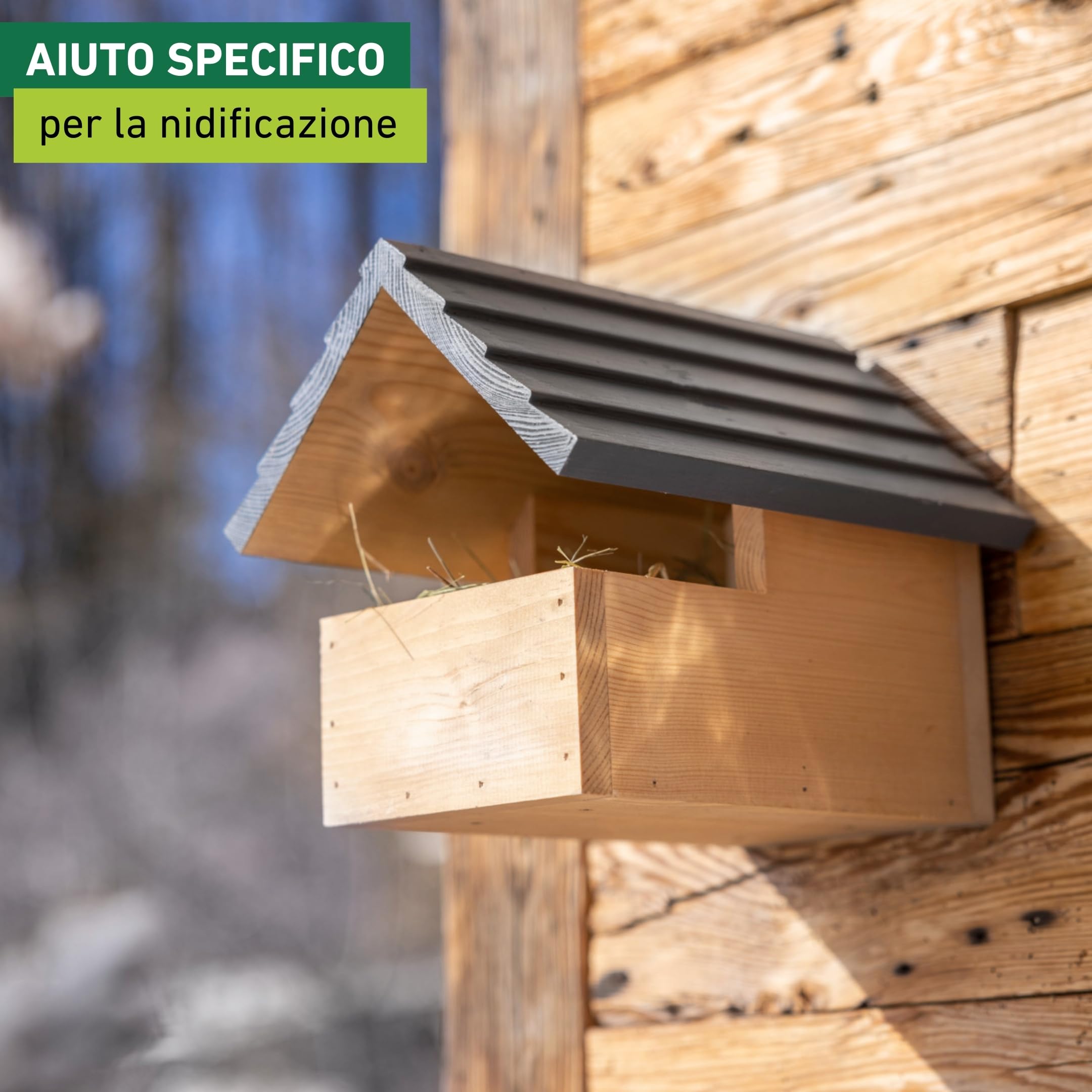 Windhager cassetta nido per uccelli Loggia, cassetta nido semiaperta per uccelli che nidificano a metà, ad esempio merli, pettirossi, legno, casetta per uccelli, resistente alle intemperie