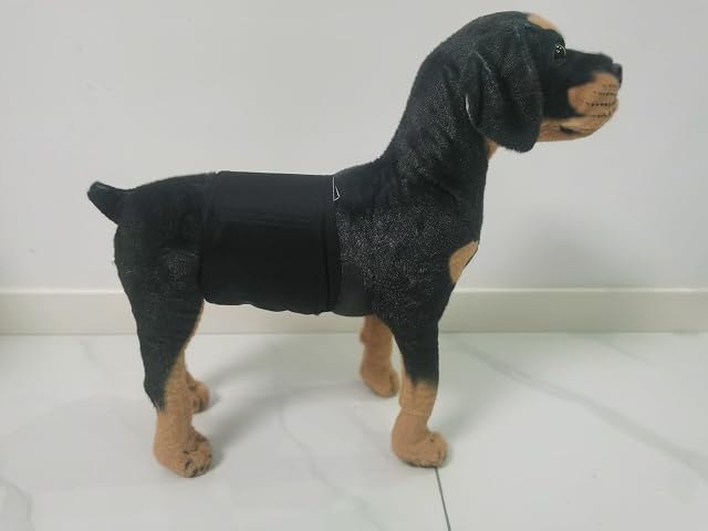 Foto 3 de 3 de JUTESK Pañales lavables para perros machos (paquete de 3) pañales duraderos para perros (negro, XS, 3