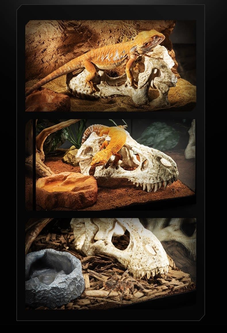 CLEEN T-Rex Skull Reptile Hide - Dinosaur Bone Terrarium Decor for Lizards Snakes Bearded Dragon, Realistic Fossil Cave Aquarium Tank Accessories (Large)