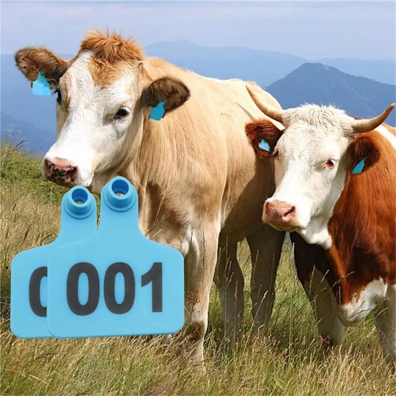 100 marcatori per orecchie bovina con 1-100 lettere per l'identificazione di aziende di allevamento, marcature fattorie, bestiame per la fattoria (F)