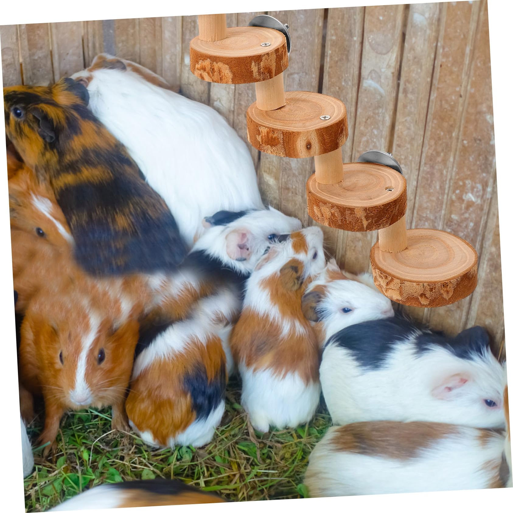 SUPVOX 4 Pz Giocattolo per criceti Giochi per criceti Giochi Criceto Gabbia per criceti Scala per Animali Fai da Te Forniture per Gabbie per criceti cincillà Scala a pioli Scala in Legno