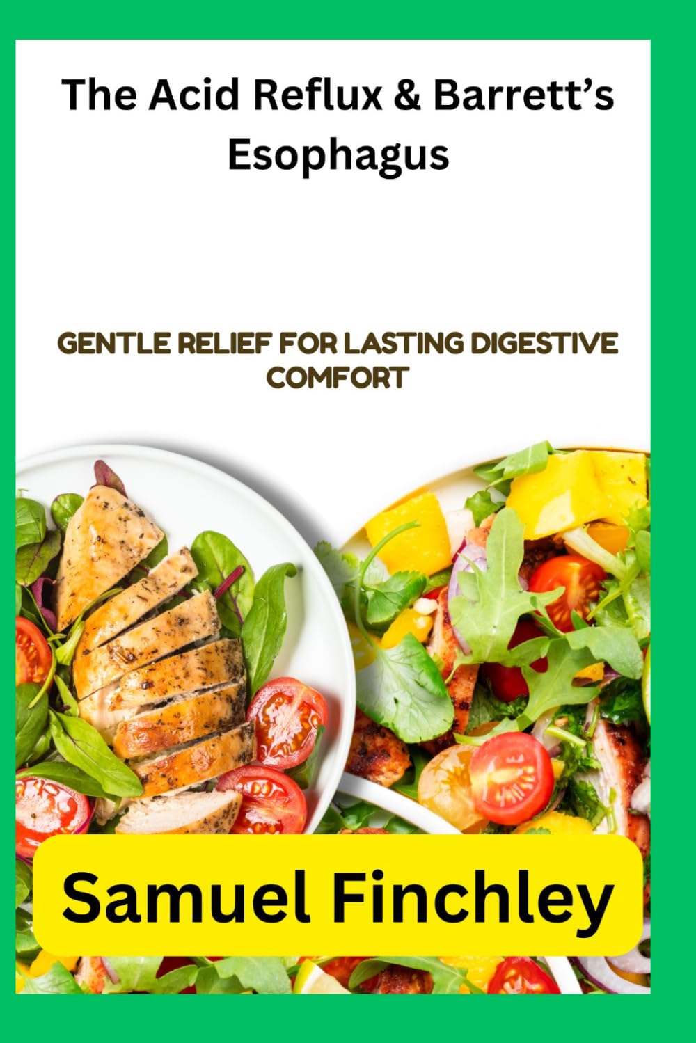 The Acid Reflux & Barrett’s Esophagus: Gentle Relief for Lasting Digestive Comfort