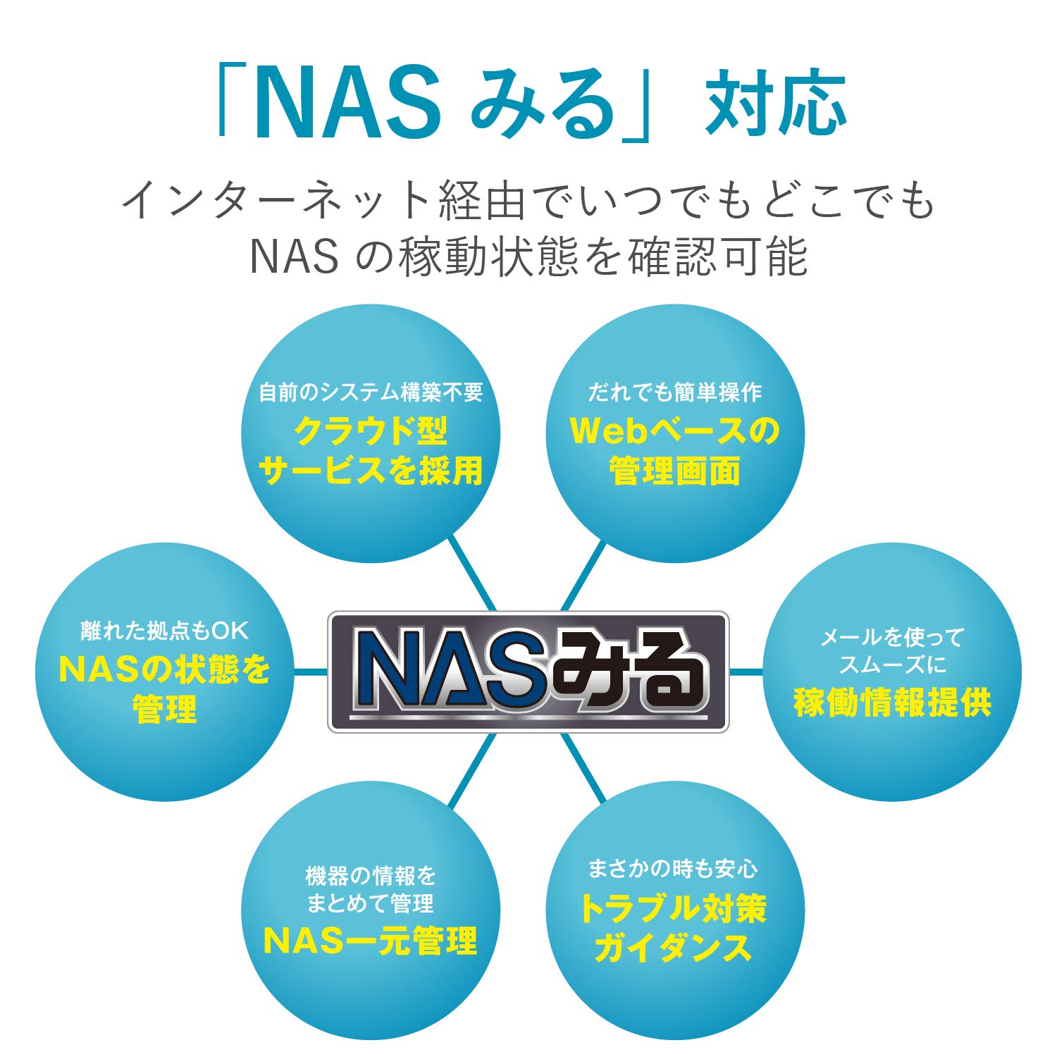 Amazon.co.jp: Elecom NSB-5A4T2BL NAS 4TB 2-bay (2TB x 2), Equipped
