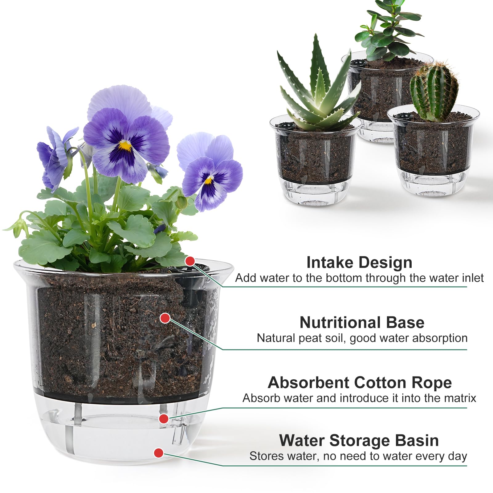 Snapklik.com : IWNTWY Self Watering Pots, 3 Pack 4 Inch Clear Plant Pot ...