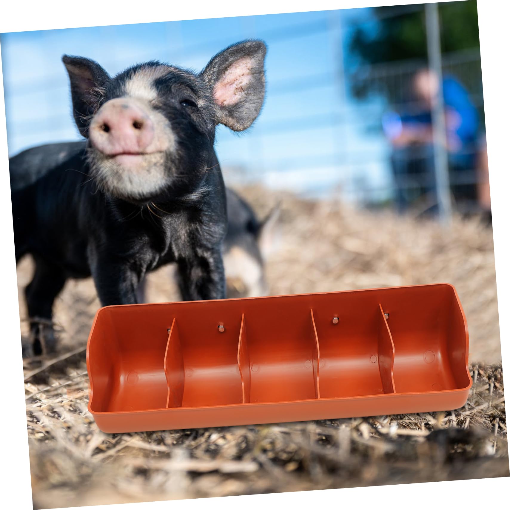 BESPORTBLE Trogolo Porcellino Salvadanaio Cavia Alimentatore Di Cibo Per Bestiame Mangiatoia Per Maiali Alimentatore Di Recinzione Con Clip Cacciatore Di Polli Galline Orange Plastica
