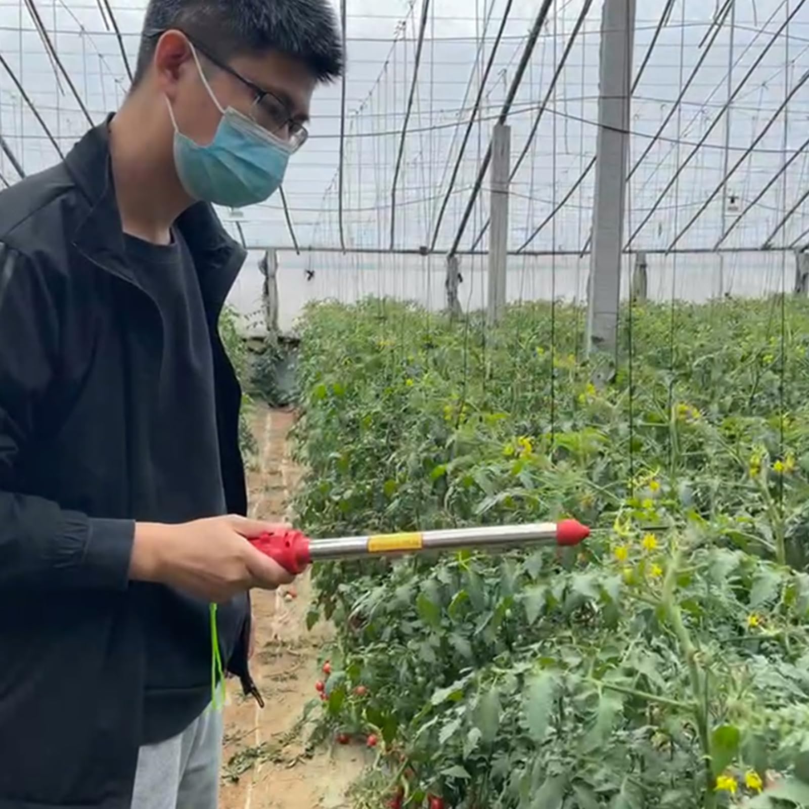 Pollinatore elettrico per pomodori, impollinatore di verdure, con batteria al litio integrata da 6500 mAh, per giardini interni, uso su pomodori, peperoni