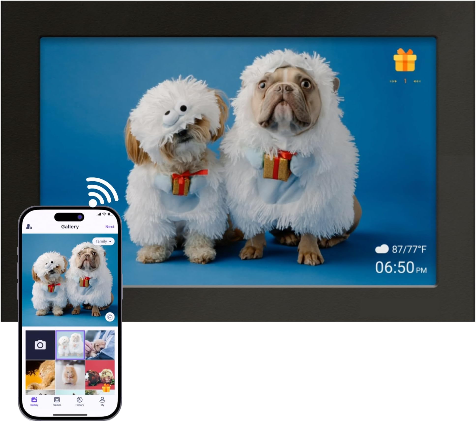 S KEL 10.1 Inch WiFi Digital Picture Frame, IPS HD Touch Screen Cloud Smart Photo Frames with Built-in 16GB + 32GB Memory, Wall Mountable, Auto-Rotate, Share Photos Instantly from Anywhere