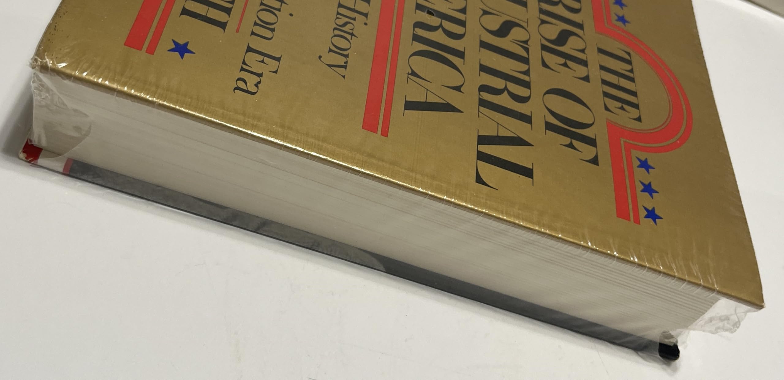 The Rise of Industrial America: A People's History of the Post-Reconstruction Era - Volume Six - Image 4