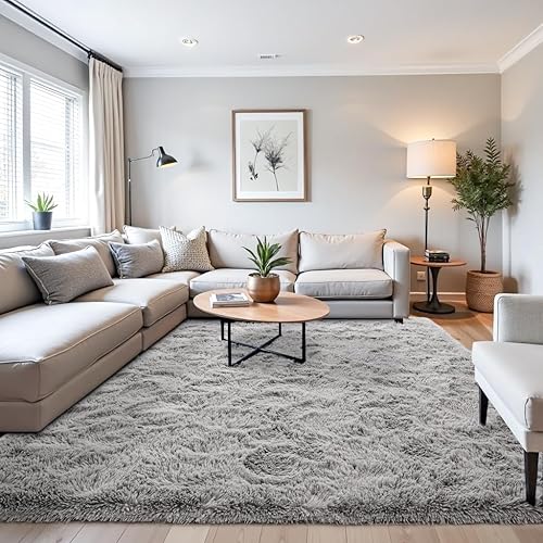 Beglad Alfombras de pelo largo para sala de estar, alfombras grises de 5 x 7 pies, antideslizantes, duraderas, modernas, de estilo minimalista,