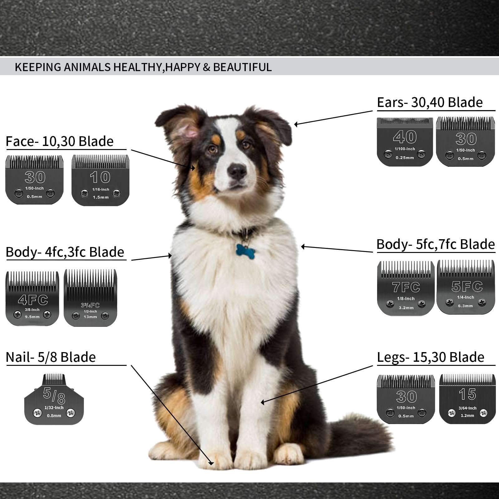 BESTBOMG Lama di Ricambio per toelettatura di Cani, Compatibile con Le Serie Heiniger/Andis A5/Wahl 10KM Series Tosaerba per Cani, Taglia 10 1/16" (1,5 mm), Lunghezza di Taglio, 2 unità Nero