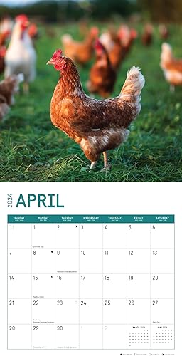 Miniatura 4 de Bright Day - Calendario mensual de pared 2024 Farms, 12 x 12 pulgadas