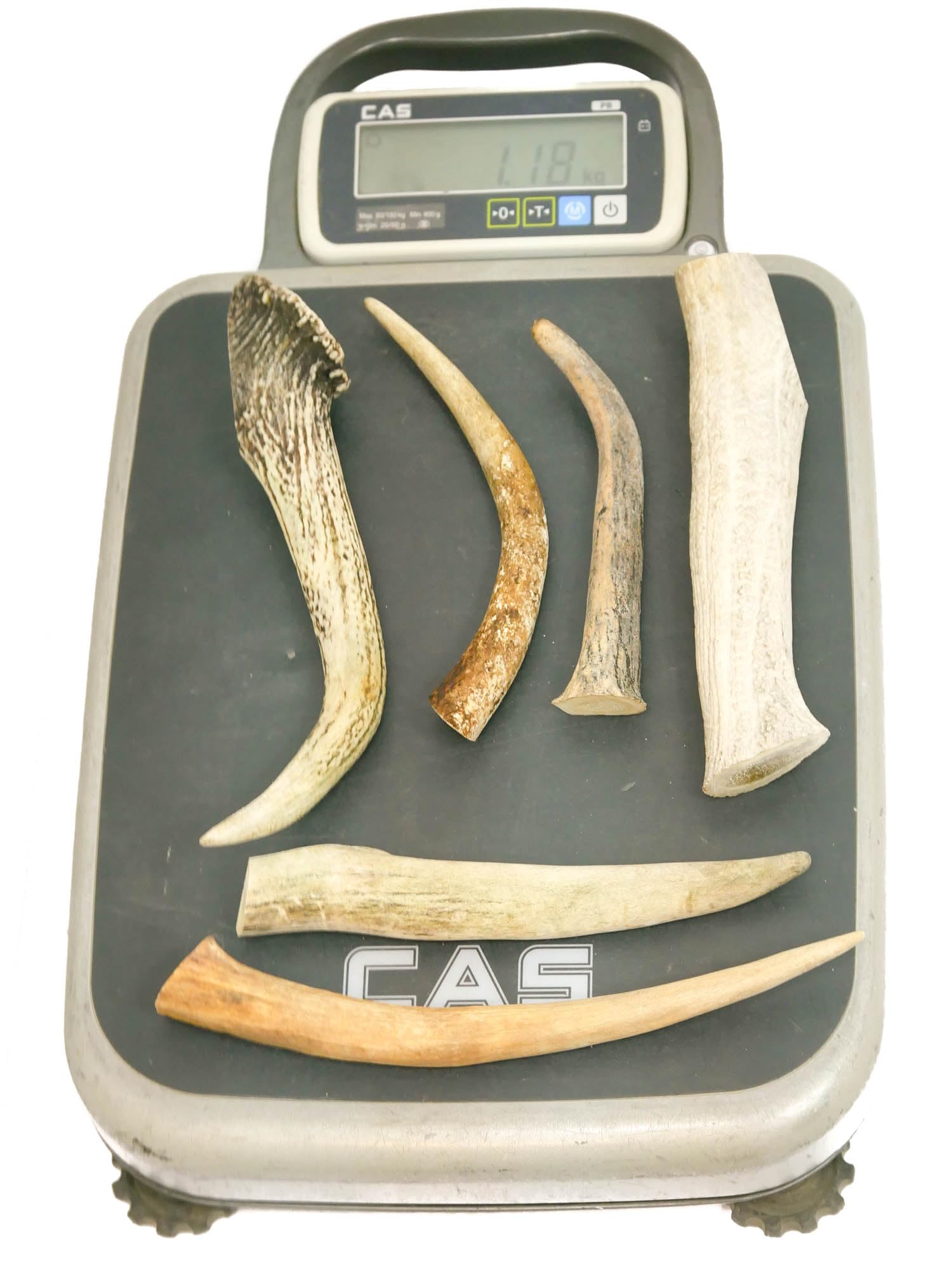 RF-Deer Asta de Ciervo Natural, Decoración Única, Juguete para Perros, Juguete de Masticar, Seguro para Perros, La Subasta Incluye la Venta de 1 kg (20-30 cm, 4-8 Piezas)