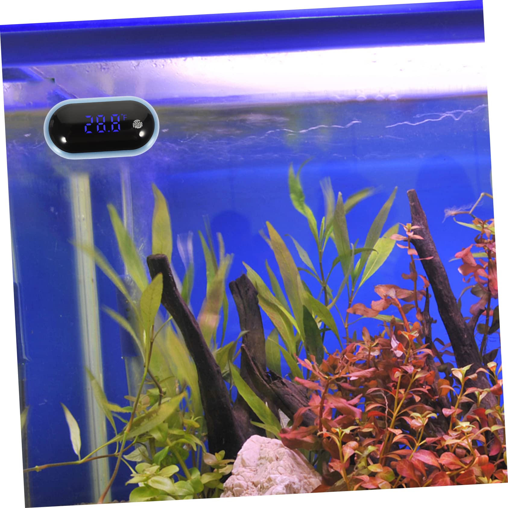 NOLITOY 3pcs Digital Thermometer for Fish Tank Portable Accurate Must-Have Aquarium Accessory