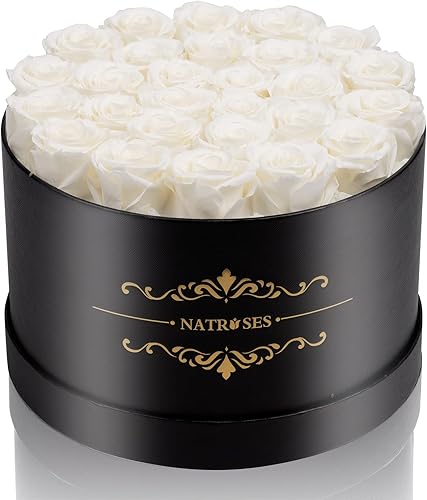 NATROSES 27 piezas de rosas preservadas para siempre en una caja, flores preservadas para cumpleaños, flores y rosas, regalos para ella (blanco)