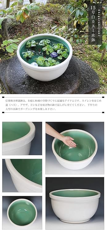 ぽっきりsale対象 白立刻線水鉢 信楽焼 睡蓮鉢 めだか鉢 水鉢 金魚鉢 メダカ鉢 ビオトープづくりに 水蓮鉢 すい 最安値挑戦 Arnabmobility Com
