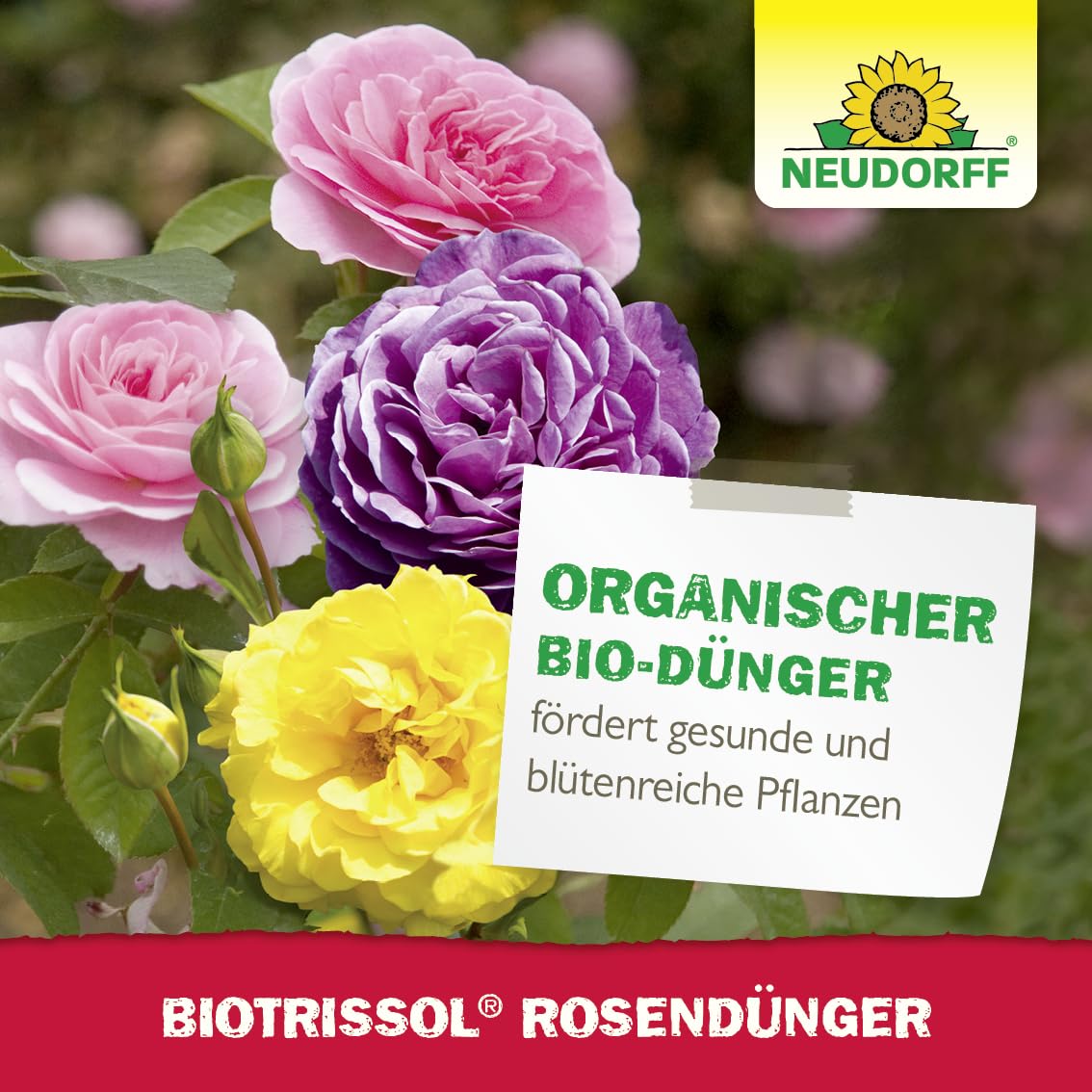 Neudorff BioTrissol RosenDünger - Bio Spezialdünger mit Extra Kalium fördert gesunde und blütenreiche Rosen auf dem Balkon oder im Garten, 1 Liter