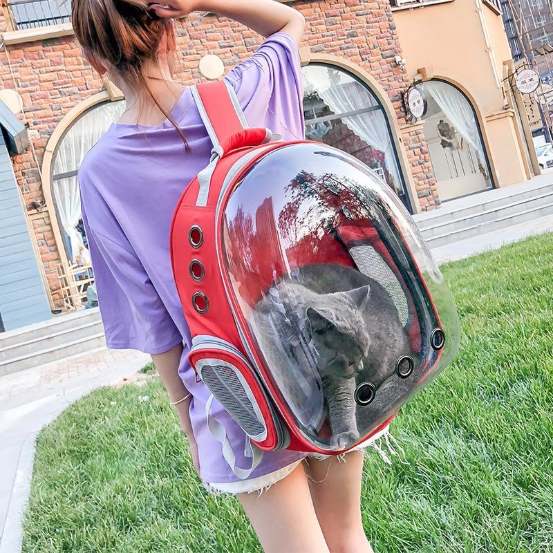 INDIE PET Transparent Cat Carrier Backpack Puppy Kitty Breathable Carriers for Travel Capsule Backpack, Travel, Hiking and Outdoor for Puppies & Cats (Blue) 1