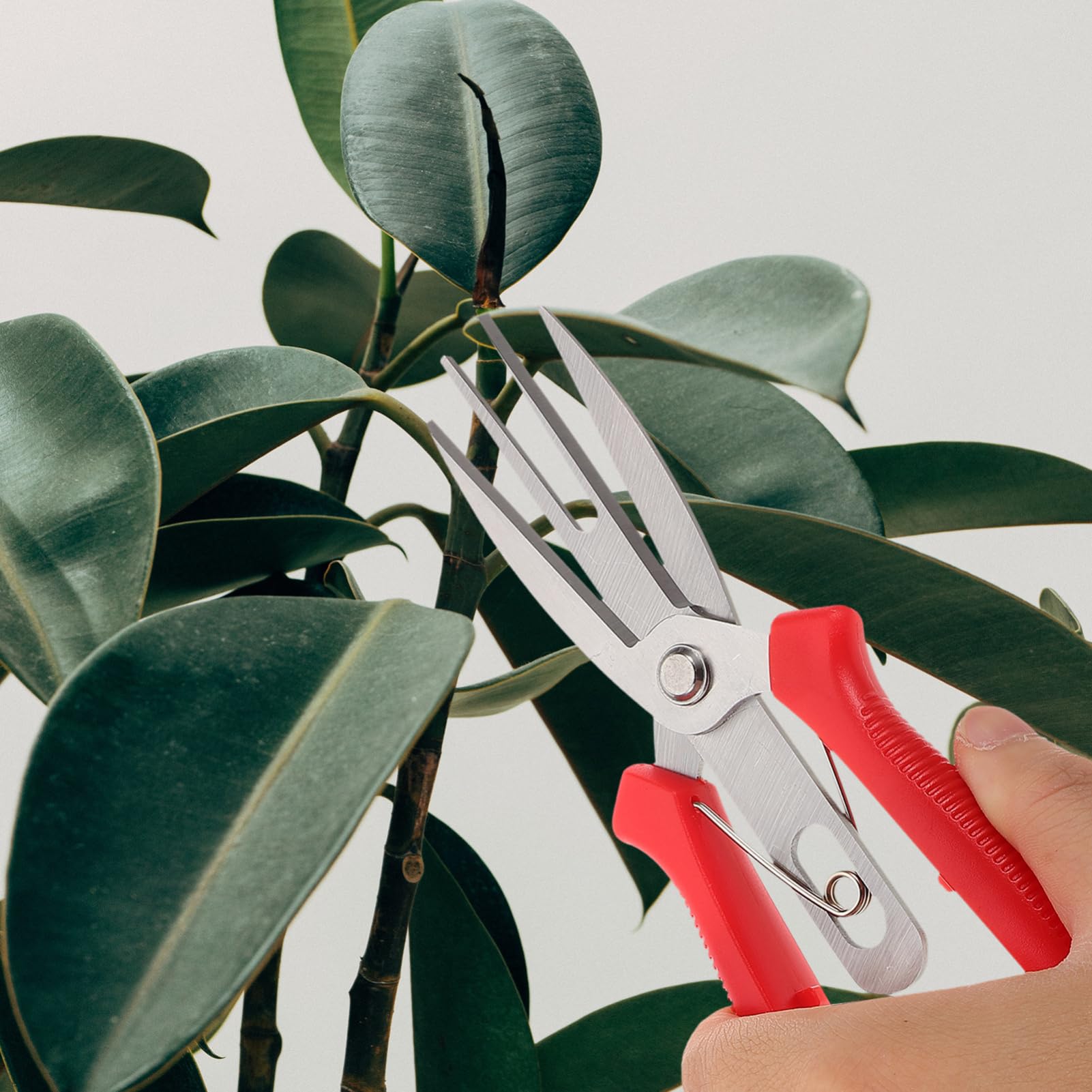 Toyvian 5stücke Garten Scheren Für Präzises Beschneiden Professionelle Pflanzenschneider Mit Rutschfestem Griff Für Obstbäume Und Zierpflanzenpflege