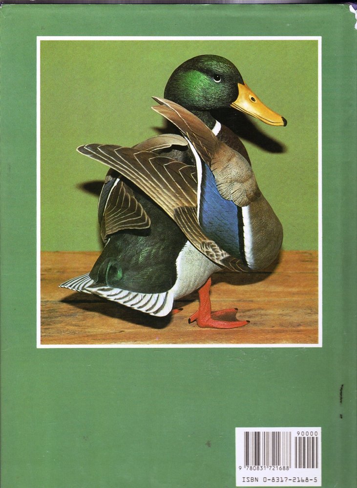 Decoy Ducks: From Folk Art to Fine Art