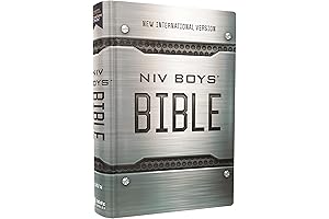 Boys' Bible: NIV Edition, HardcoverComfort Print