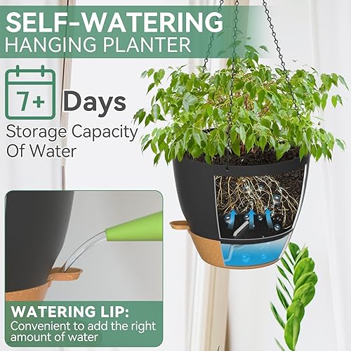 Miniatura 4 de ZMTECH Macetas colgantes de 12 pulgadas para plantas de interior y exterior, 1 paquete de macetas colgantes de riego automático con agujeros de