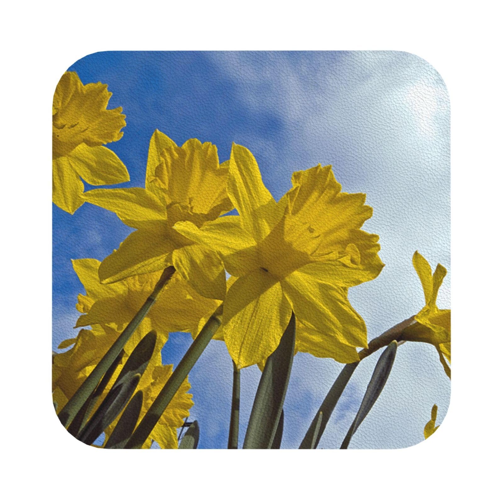 Yellow Daffodil PU Leather Coasters Set of 6 Square Drink Coasters