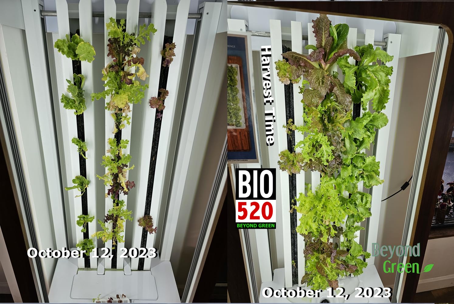 BIO 520 - Organic Liquid Plant Food - Indoor/Outdoor Soil Amendment, 16 Fl Oz Makes 125 Gal, OMRI. Ideal for Hydroponics, Agriculture, Houseplants & Outdoor Gardens, Foliar or Watering Made in the USA