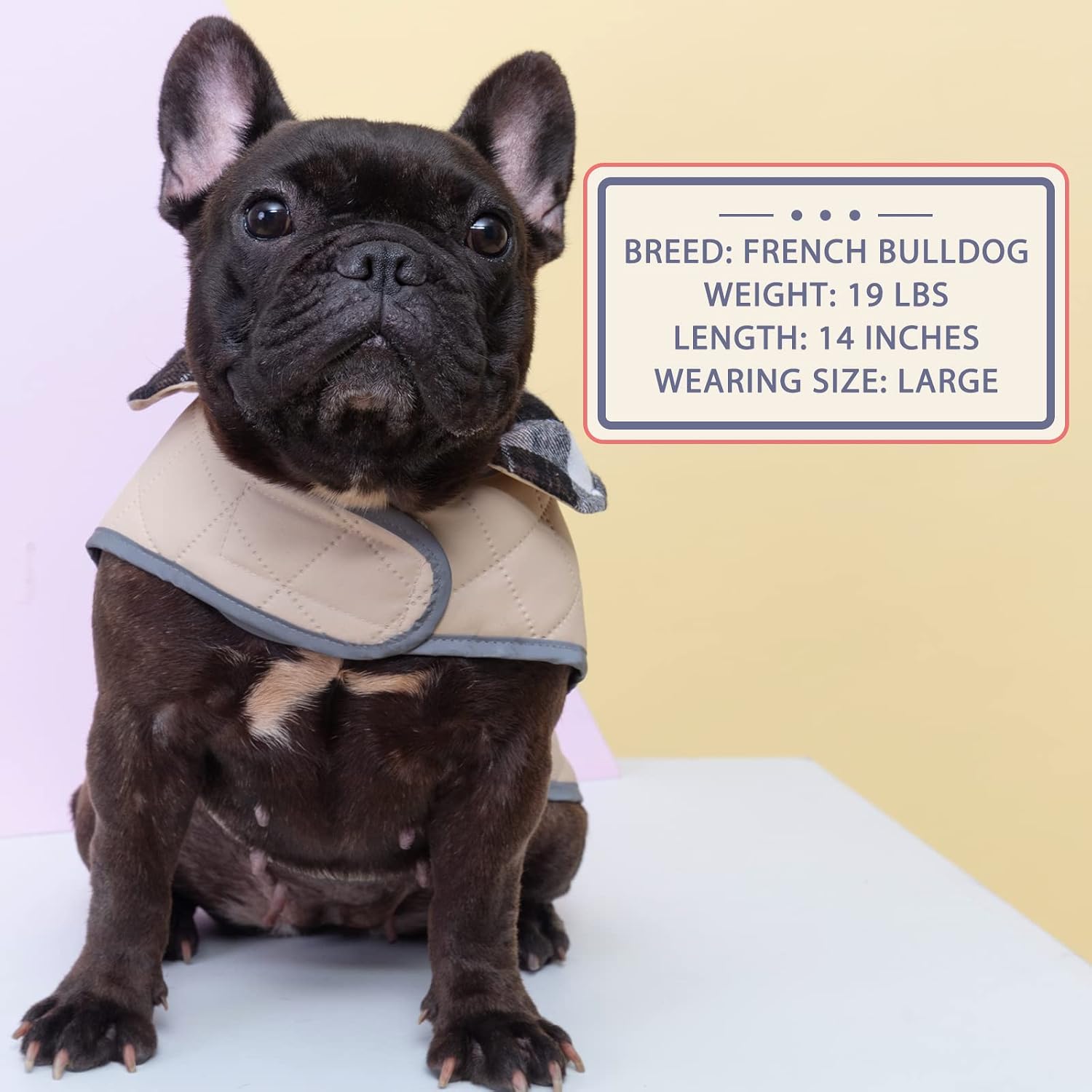KYEESE Dog Jacket for Medium Large Dogs Waterproof Windproof Winter Coat with Reflective Strip Quilted Dog Clothes Dog Cold Weather Coats with Leash Hole Size Adjustable Beige