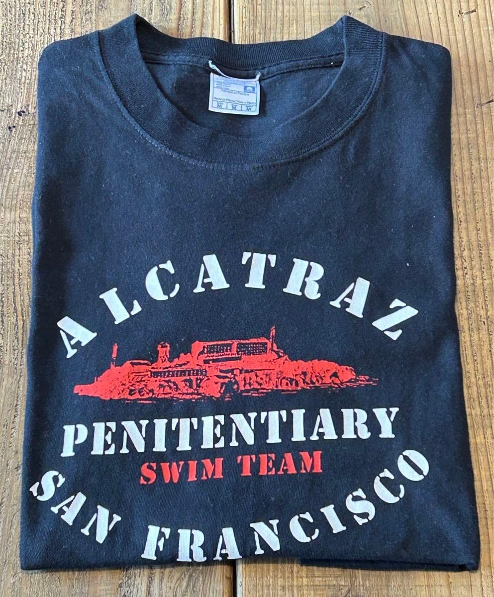 北村明道 肉筆！ 絹絵 富士