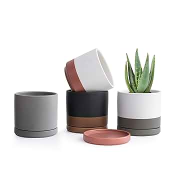 多肉植物 陶器鉢入り 小型*4 Amazon.co.jp: 多肉植物鉢 ミニ 3×3cm ポット 陶器 プランター