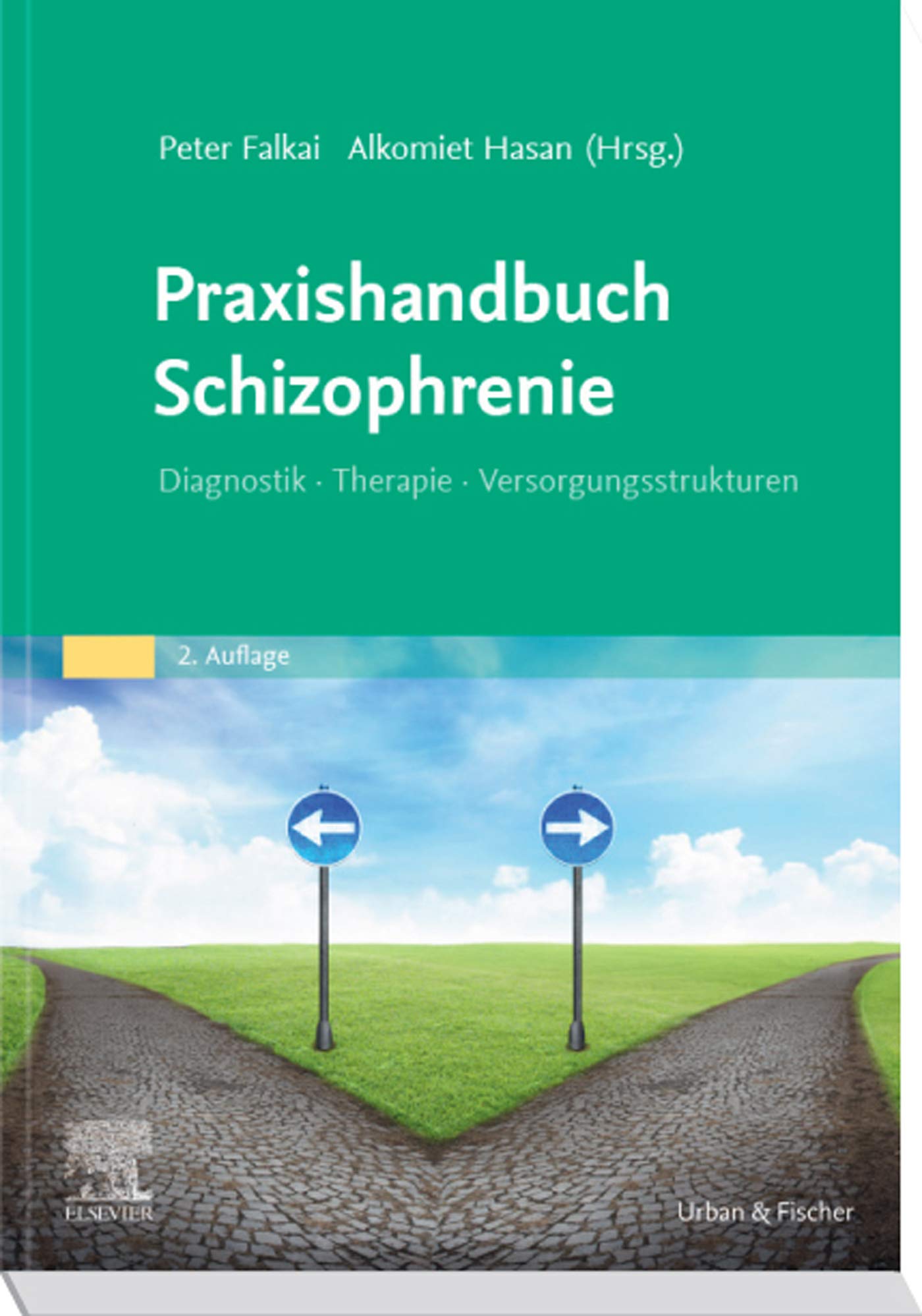 Praxishandbuch Schizophrenie: Diagnostik – Therapie – Versorgungsstrukturen (MONOGRAPHIE - Fachbuch - Urban & Fischer-Verlag)