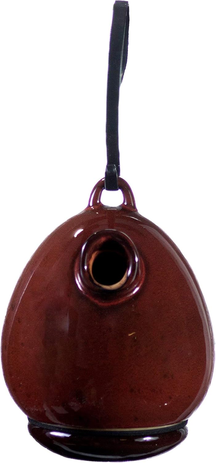 BYER OF MAINE Circles Hanging Bird Bath and Alcyon Egg/Bottle Bird Home Bundle