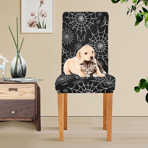 Miniatura 5 de Ollabaky Juego de 4 fundas para sillas de comedor de Halloween, fundas elásticas para sillas de comedor con diseño de murciélagos, tela de araña,