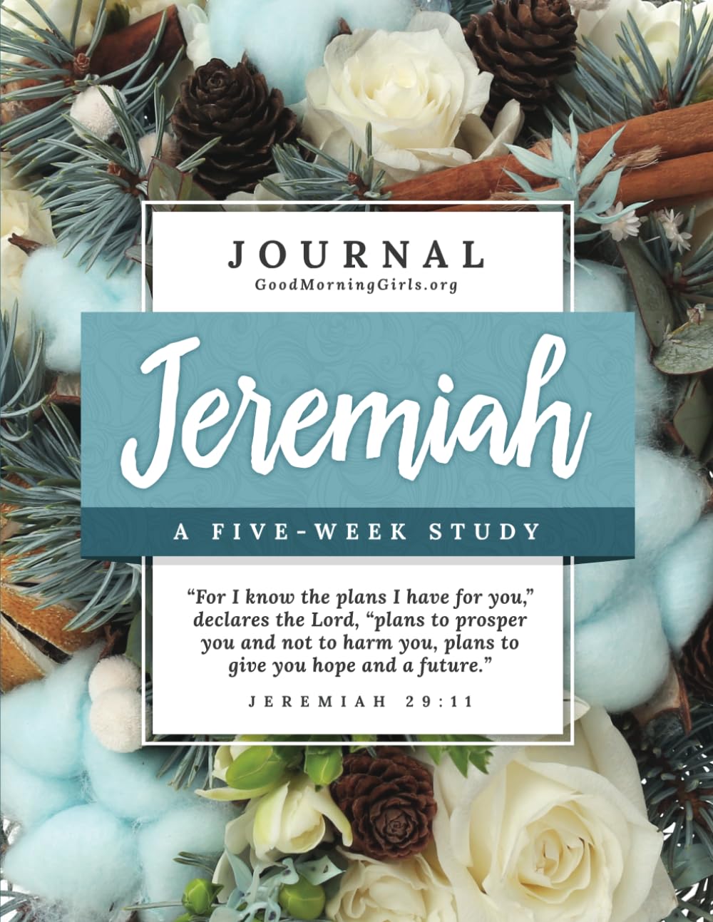 Jeremiah A FiveWeek Study Joseph Fallick, Courtney 9781964859026