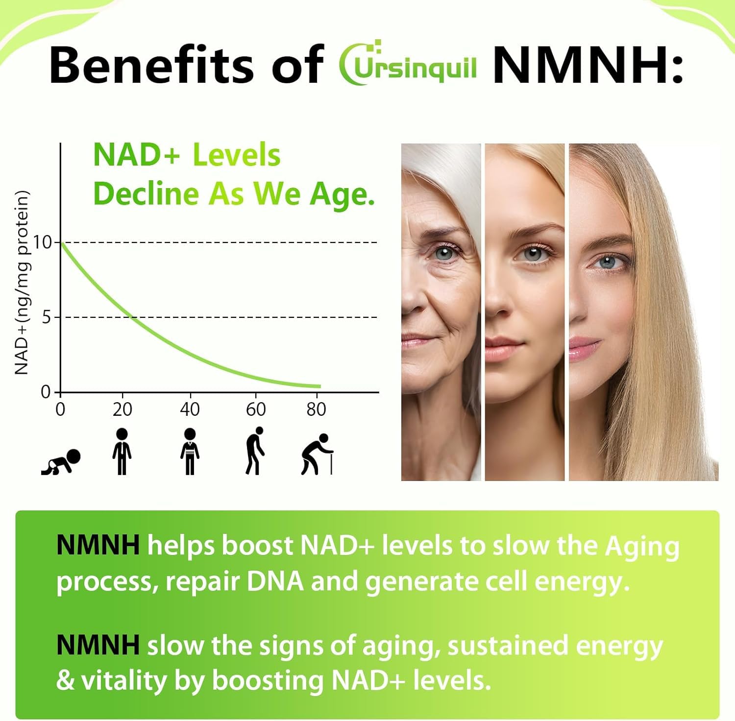 Sublingual NMNH 500mg (240-Day Supply, 500mg per Serving) , 240 Count — Amazon image 2