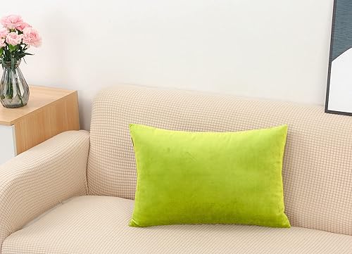 Miniatura 8 de TangDepot Juego de 2 fundas de almohada de terciopelo súper suaves, fundas de almohada lumbares, fundas de almohada - (12 x 20 pulgadas, 2 piezas,